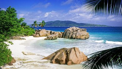 Photo of Уникальный климат Сейшел – ключ к круглогодичному отдыху